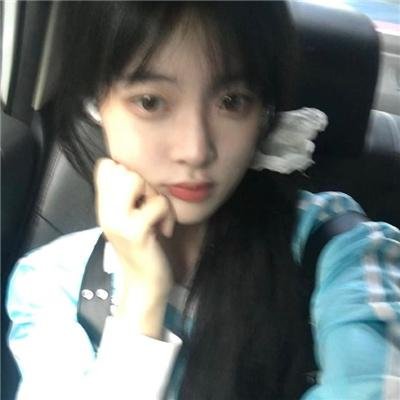 道格拉斯冷杉果